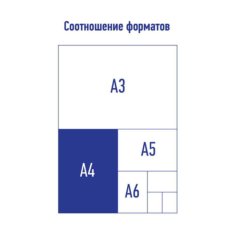 Папка-скоросшиватель А4 Berlingo бирюзовая, пластик 180мкм ASp_04120